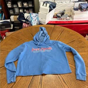 Blue 84 Cozy Blue KU Jayhawks Fleece Hoodie